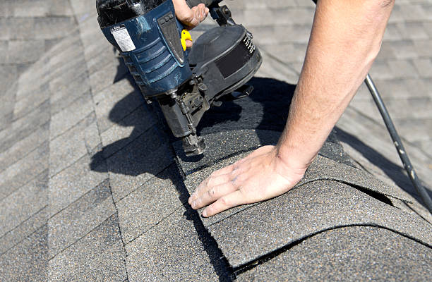 Best Skylight Installation and Repair  in Mason, TN